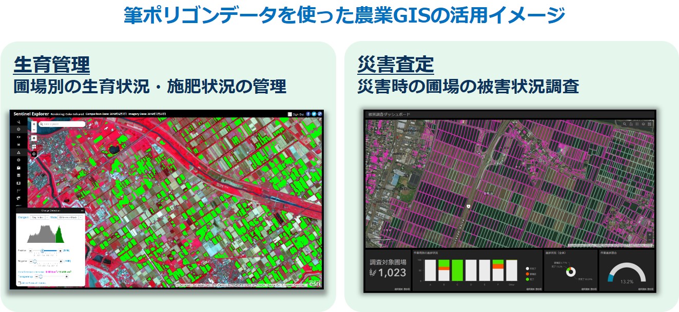 作付け調査テンプレートによる現地確認調査の効率化 Arcgisブログ